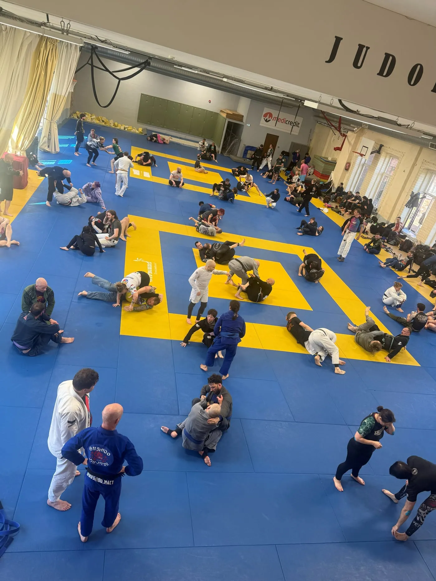 Looking down on a busy BJJ Globetrotters camp session: dozens of pairs drilling in gis and rash guards across blue and yellow judo mats